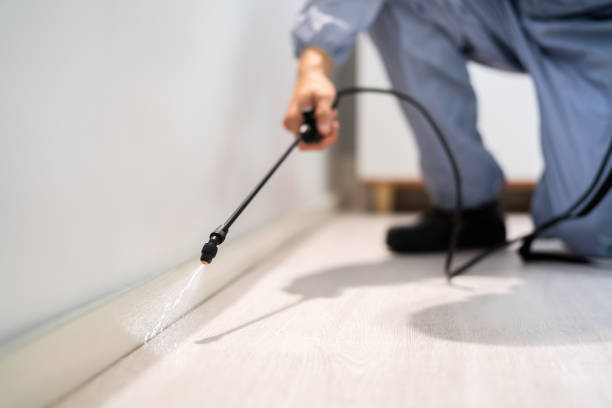 Professional exterminator conducting IPM assessment in Menlo Park Terrace