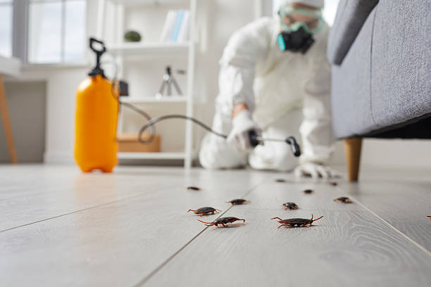 Commercial Kitchen Cockroach Control in Menlo Park Terrace